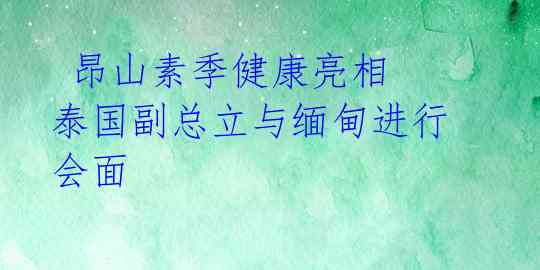 昂山素季健康亮相 泰国副总立与缅甸进行会面