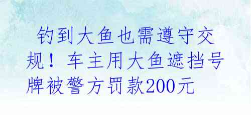  钓到大鱼也需遵守交规！车主用大鱼遮挡号牌被警方罚款200元