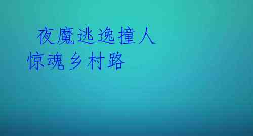  夜魔逃逸撞人 惊魂乡村路 