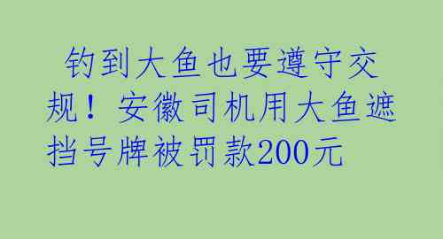  钓到大鱼也要遵守交规！安徽司机用大鱼遮挡号牌被罚款200元