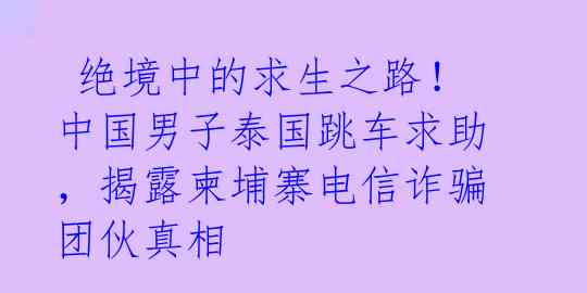  绝境中的求生之路！中国男子泰国跳车求助，揭露柬埔寨电信诈骗团伙真相