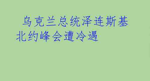  乌克兰总统泽连斯基北约峰会遭冷遇