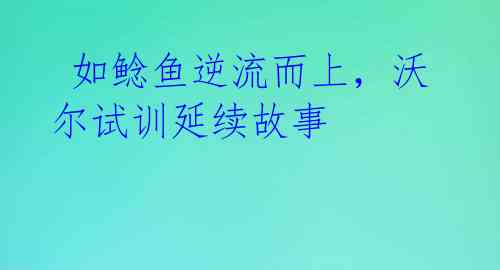  如鲶鱼逆流而上，沃尔试训延续故事