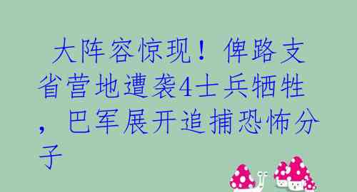  大阵容惊现！俾路支省营地遭袭4士兵牺牲，巴军展开追捕恐怖分子