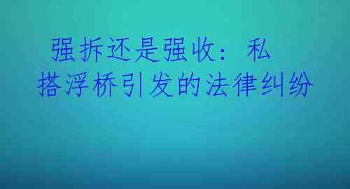  强拆还是强收: 私搭浮桥引发的法律纠纷