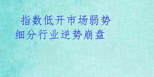  指数低开市场弱势 细分行业逆势崩盘