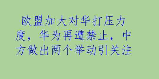  欧盟加大对华打压力度，华为再遭禁止，中方做出两个举动引关注 