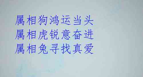 属相狗鸿运当头 属相虎锐意奋进 属相兔寻找真爱 