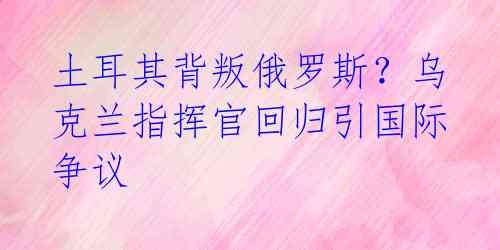 土耳其背叛俄罗斯？乌克兰指挥官回归引国际争议 