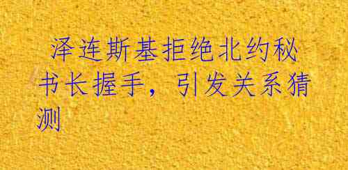 泽连斯基拒绝北约秘书长握手,引发关系猜测