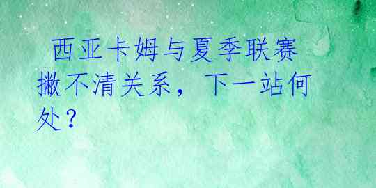  西亚卡姆与夏季联赛撇不清关系，下一站何处？ 