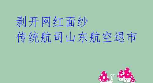 剥开网红面纱 传统航司山东航空退市