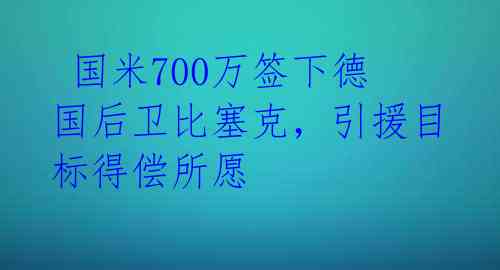  国米700万签下德国后卫比塞克，引援目标得偿所愿 