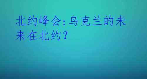 北约峰会:乌克兰的未来在北约？ 