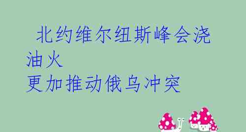  北约维尔纽斯峰会浇油火 更加推动俄乌冲突 