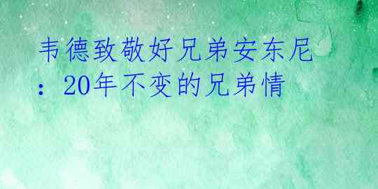 韦德致敬好兄弟安东尼：20年不变的兄弟情 