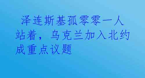  泽连斯基孤零零一人站着，乌克兰加入北约成重点议题 