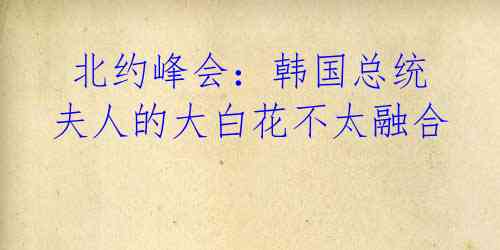 北约峰会:韩国总统夫人的大白花不太融合