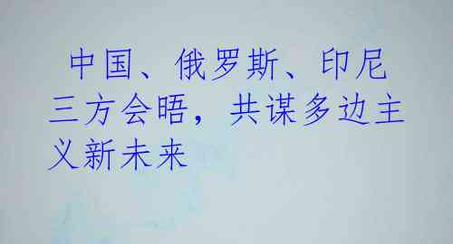  中国、俄罗斯、印尼三方会晤，共谋多边主义新未来 