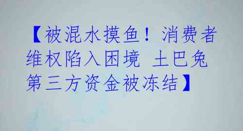 【被混水摸鱼！消费者维权陷入困境 土巴兔第三方资金被冻结】 