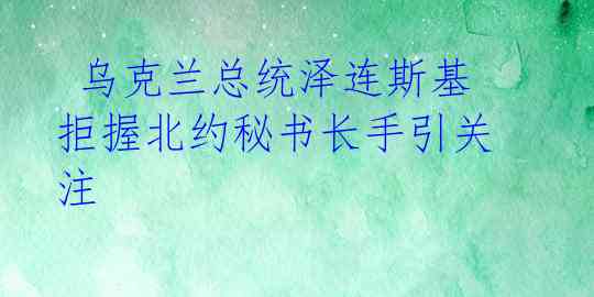  乌克兰总统泽连斯基拒握北约秘书长手引关注 