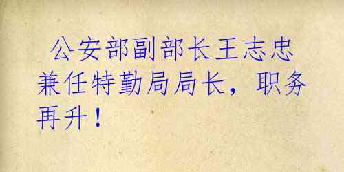 公安部副部长王志忠兼任特勤局局长,职务再升!