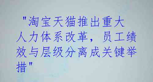 "淘宝天猫推出重大人力体系改革,员工绩效与层级分离成关键举措"