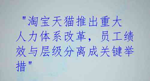  "淘宝天猫推出重大人力体系改革，员工绩效与层级分离成关键举措" 