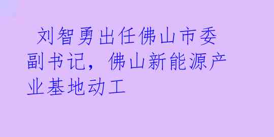  刘智勇出任佛山市委副书记，佛山新能源产业基地动工 