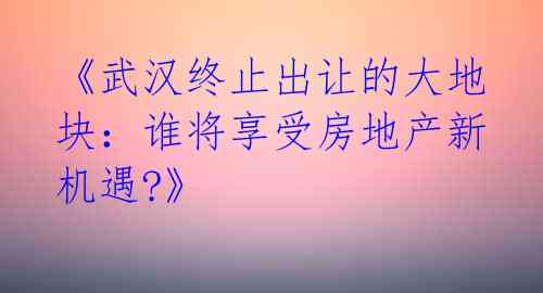 《武汉终止出让的大地块：谁将享受房地产新机遇?》 