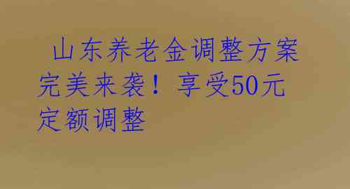 山东养老金调整方案完美来袭!享受50元定额调整