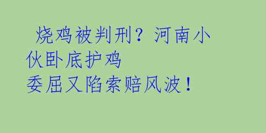烧鸡被判刑?河南小伙卧底护鸡 委屈又陷索赔风波!