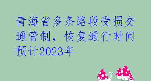 青海省多条路段受损交通管制,恢复通行时间预计2023年