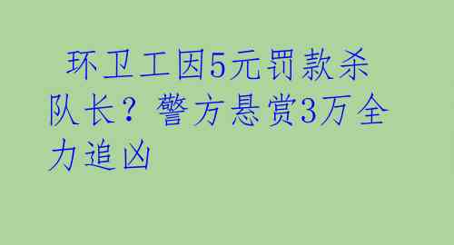  环卫工因5元罚款杀队长？警方悬赏3万全力追凶 