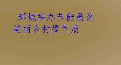  邹城举办节能展览 美丽乡村提气质