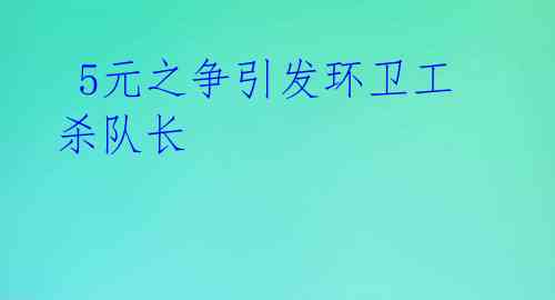  5元之争引发环卫工杀队长
