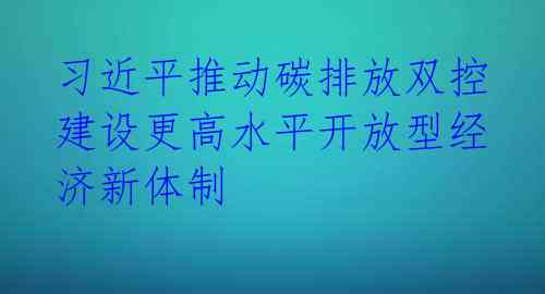  习近平推动碳排放双控 建设更高水平开放型经济新体制
