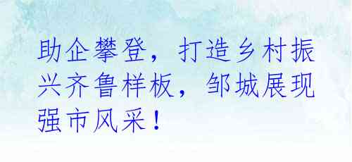 助企攀登，打造乡村振兴齐鲁样板，邹城展现强市风采！