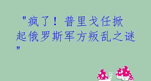  "疯了！普里戈任掀起俄罗斯军方叛乱之谜"