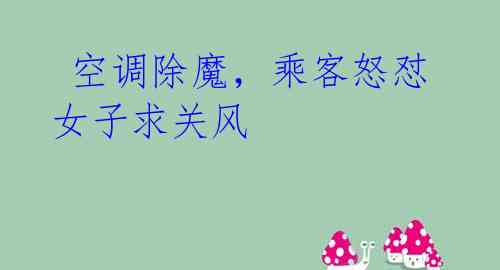 空调除魔,乘客怒怼女子求关风