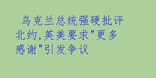  乌克兰总统强硬批评北约,英美要求"更多感谢"引发争议 