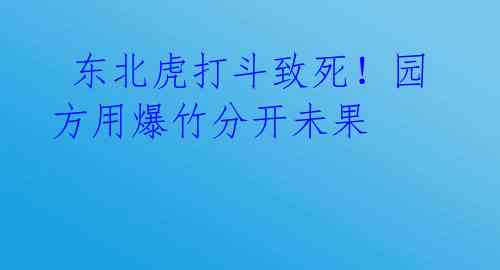  东北虎打斗致死！园方用爆竹分开未果