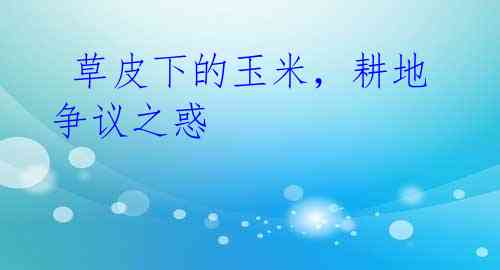  草皮下的玉米，耕地争议之惑