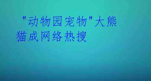  "动物园宠物"大熊猫成网络热搜