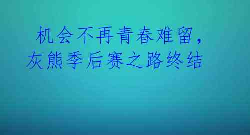  机会不再青春难留，灰熊季后赛之路终结