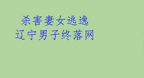  杀害妻女逃逸 辽宁男子终落网 