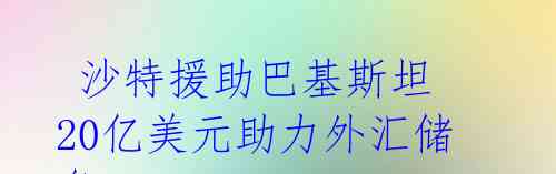  沙特援助巴基斯坦 20亿美元助力外汇储备 