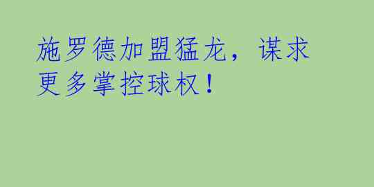 施罗德加盟猛龙,谋求更多掌控球权!