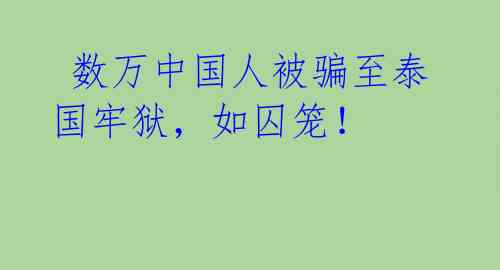 数万中国人被骗至泰国牢狱,如囚笼!