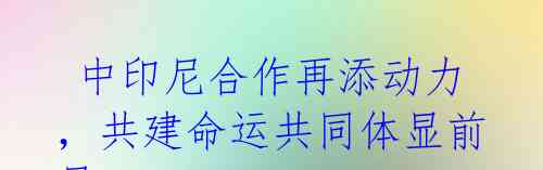 中印尼合作再添动力,共建命运共同体显前景